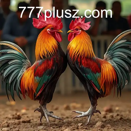 Exploring the Intricacies of Cockfighting: Tradition and Controversy